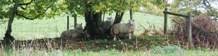 ?????????????????????????????