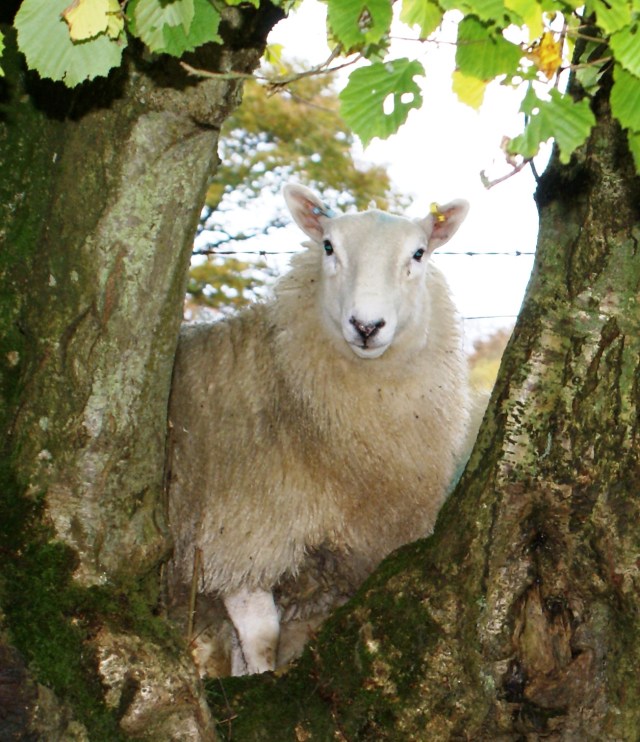 ?????????????????????????????