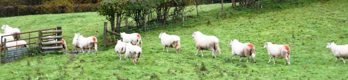 ?????????????????????????????