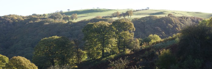 ?????????????????????????????