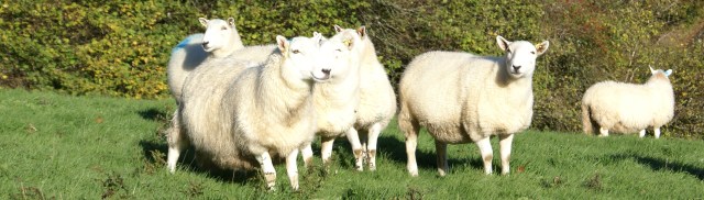 ?????????????????????????????