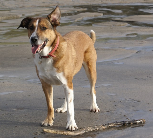 ?????????????????????????????