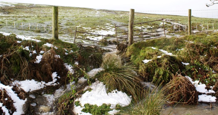 ?????????????????????????????