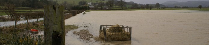 ?????????????????????????????