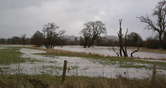 Flooding yesterday in Caersws