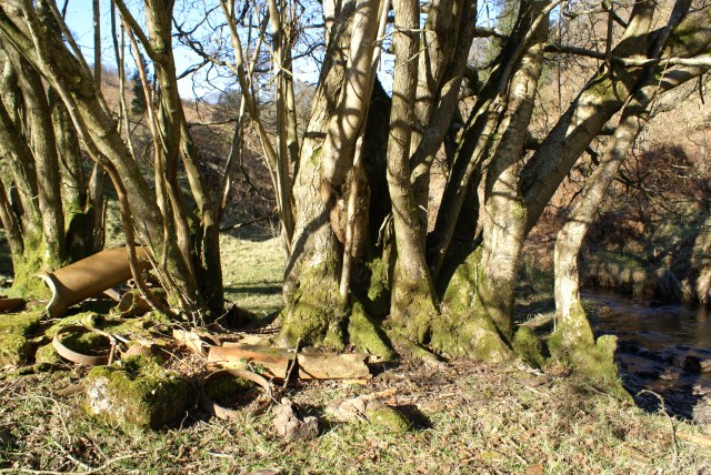 We like the look of this old farm junk -- what will move in?