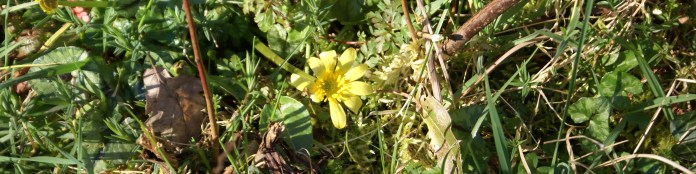 It's a struggle to be first