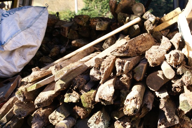 Last year Great Tits reared a brood in this bag of kindling in the woodshed