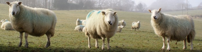 ?????????????????????????????