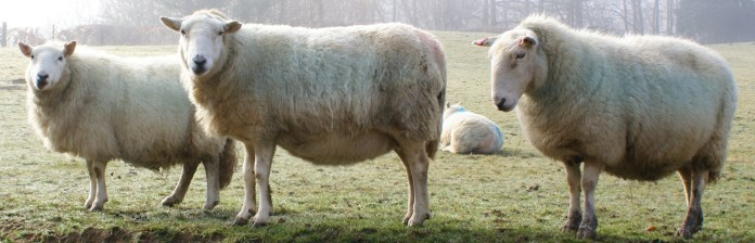 ?????????????????????????????