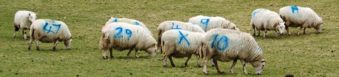 ?????????????????????????????