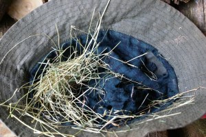 ?????????????????????????????