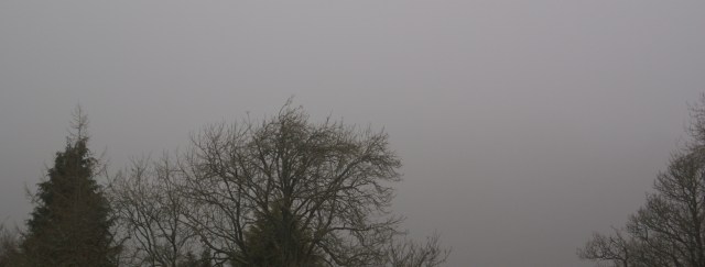 ?????????????????????????????