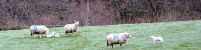 ?????????????????????????????