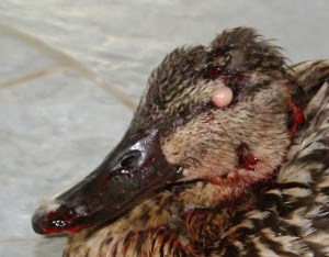 ?????????????????????????????