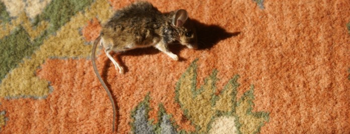 ?????????????????????????????