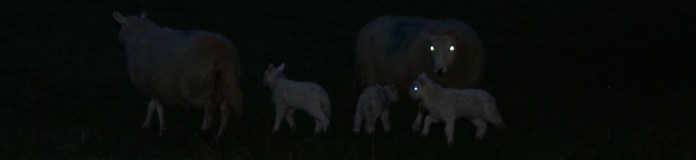 ?????????????????????????????