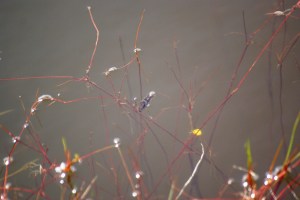 ?????????????????????????????