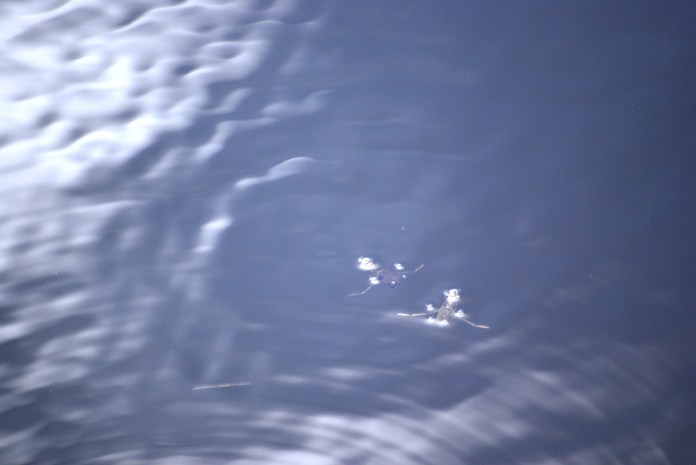 ?????????????????????????????