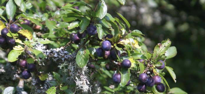 ?????????????????????????????