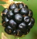 ?????????????????????????????