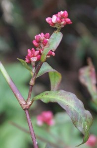 ?????????????????????????????