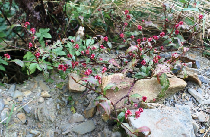 ?????????????????????????????