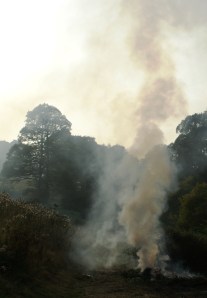 ?????????????????????????????