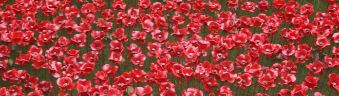 Rememberance poppies at the Tower