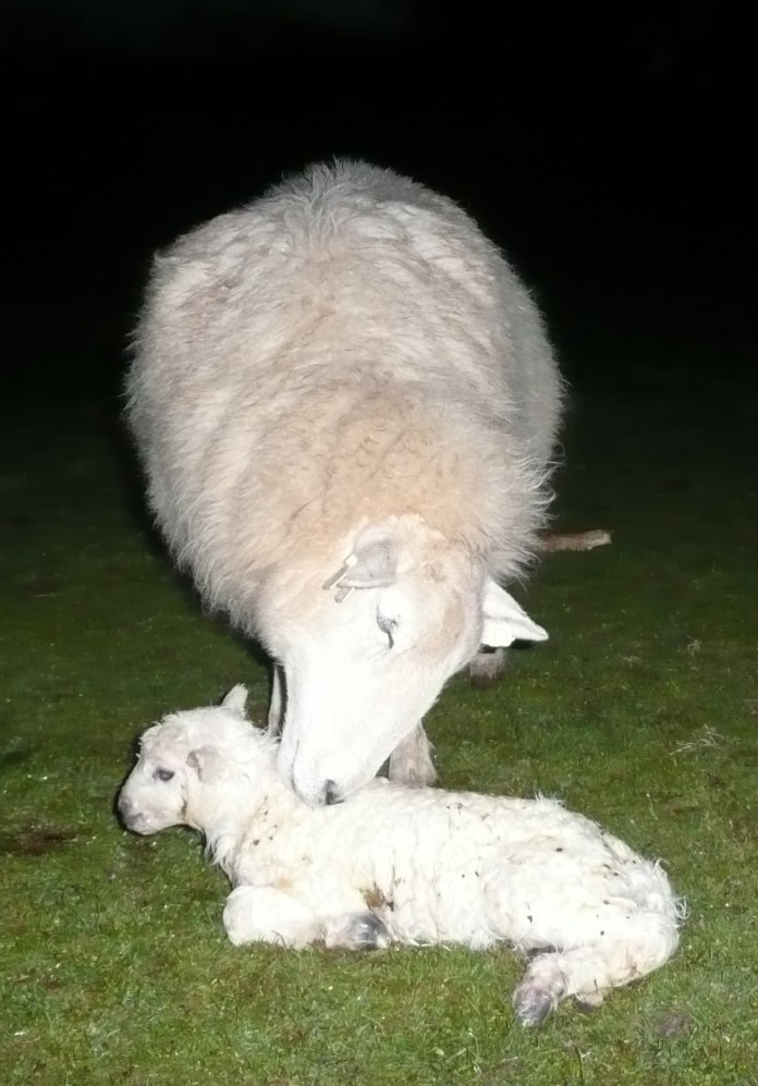 Abby and others 2012 073