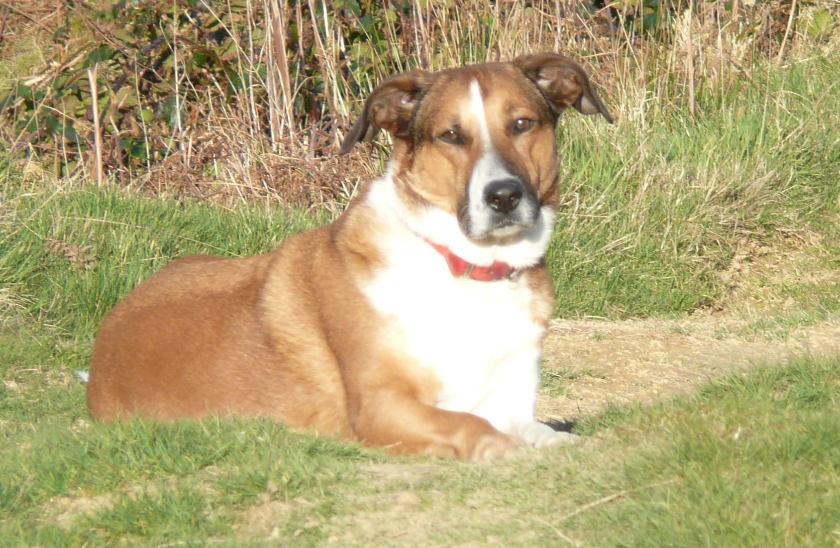 spring 2012 209 Pedro