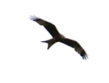 ?????????????????????????????