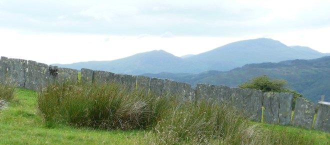 Wall of Slate Slabs in Snowdonia