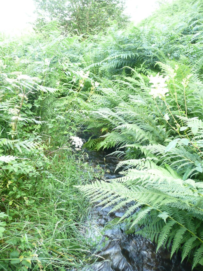 View from the bridge