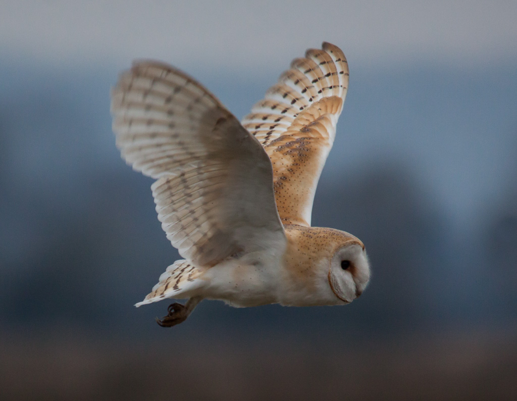 oldbilluk (CC BY-NC-SA 2.0)