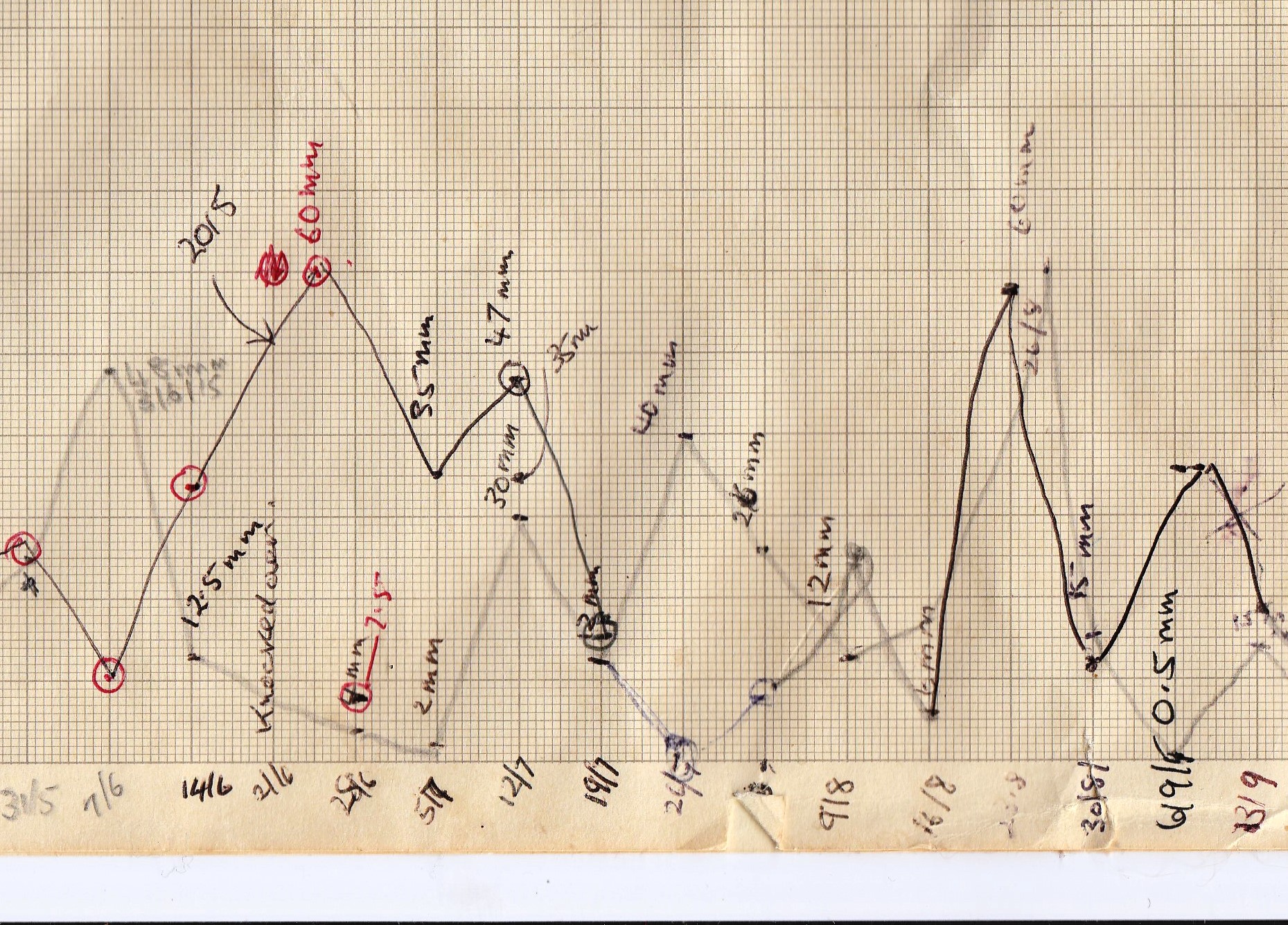 mm of weekly rainfall in usual summer